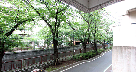 目黒川の1st seat