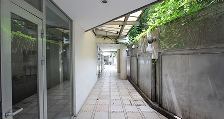 Exploration in Harajuku