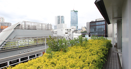 神南オフィス｜最上階 メゾネット空間