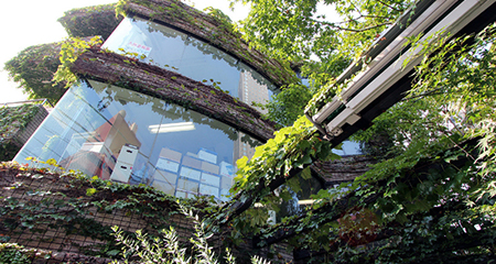 IVY STYLE