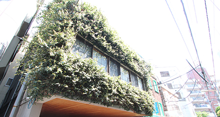 緑髭の貫禄