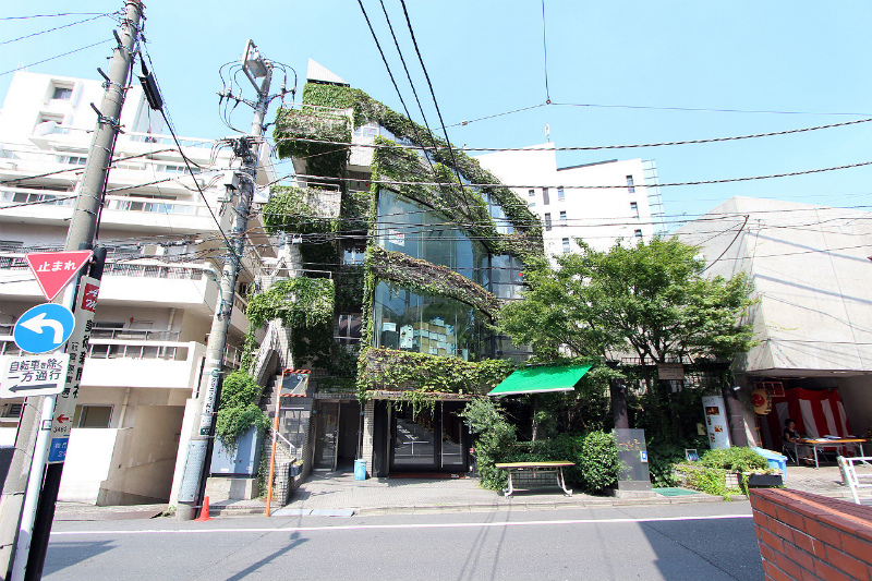 IVY STYLE