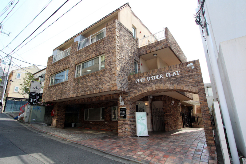 地下にあった秘密の庭で